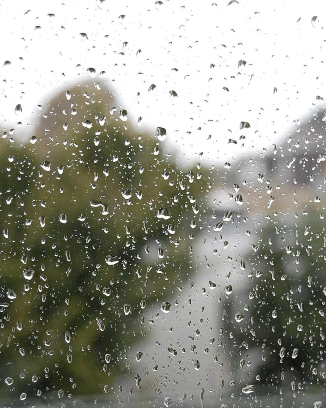 Raindrops on a window with a tree and houses visible beyond the glass